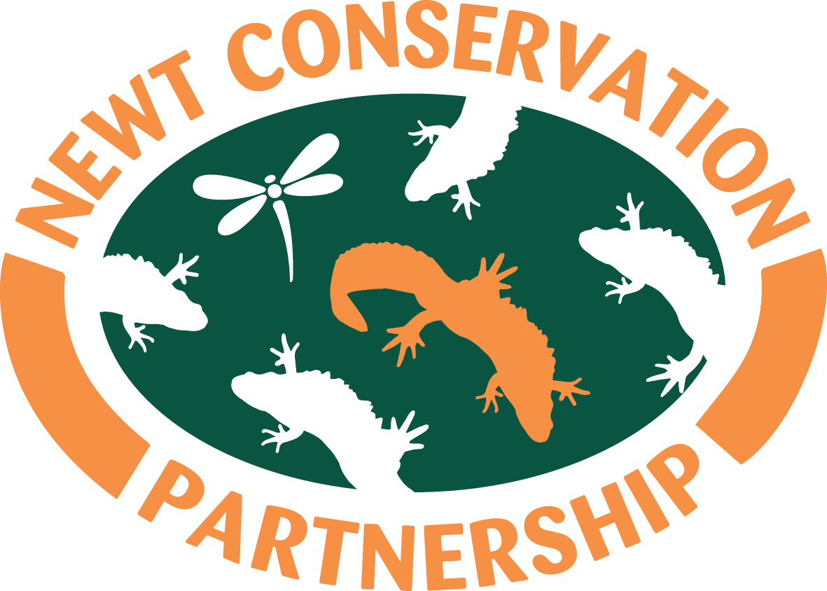 Newt Conservation Partnership